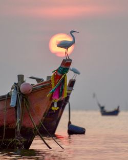 Boat moored on beach against sky during sunset