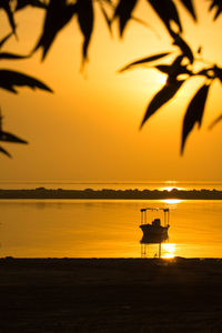 Silhouette of beach during sunset