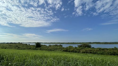 Scenic view of field against sky