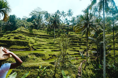 Young woman with palm trees on field