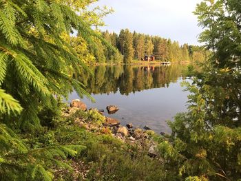 Scenic view of lake in forest against sky