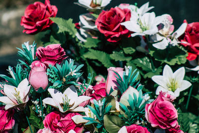 Close-up of pink flowering plants