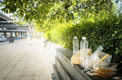 View of wine glass on table against trees