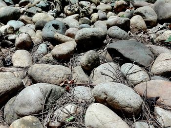 Full frame shot of rocks