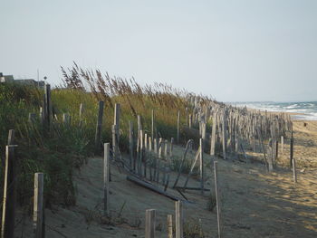 Wooden posts on beach against clear sky