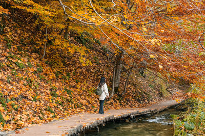 Girl on wooden