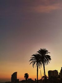 Low angle view of silhouette palm trees against sky during sunset