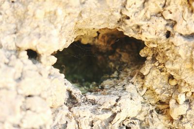 Close-up of rock formation in cave