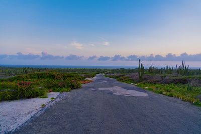 Road amidst field against sky