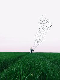 Scenic view of grassy field