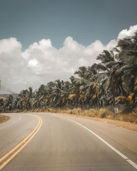 Road by trees against sky