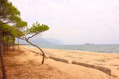 Scenic view of beach against sky