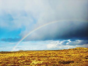 Scenic view of rainbow over field