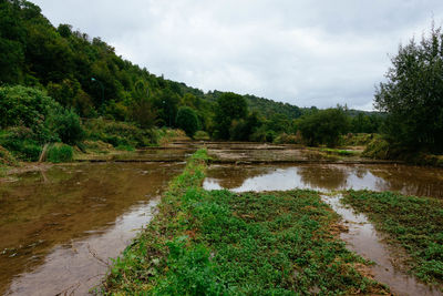 Scenic view of river amidst field against sky