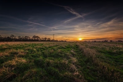 Scenic view of field against sky during sunset