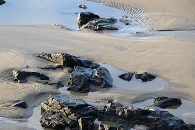 High angle view of rocks on beach