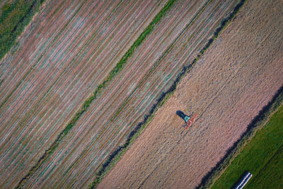 High angle view of agricultural landscape