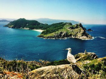 Scenic view of sea against blue sky