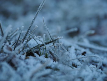 Close-up of frozen outdoors