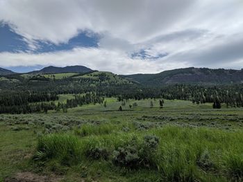 Scenic view of field against sky