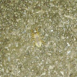 Full frame shot of water surface