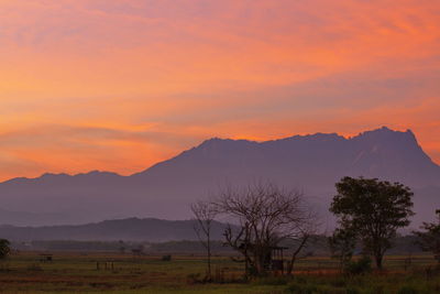 Scenic view of field against orange sky