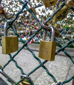 Close-up of padlocks on railing