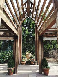 Potted plants on table in park