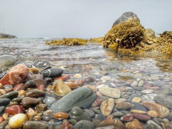 Surface level of rocks on beach