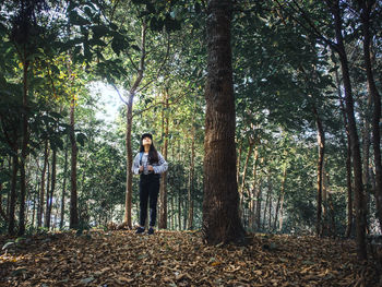 Man standing by tree trunks in forest