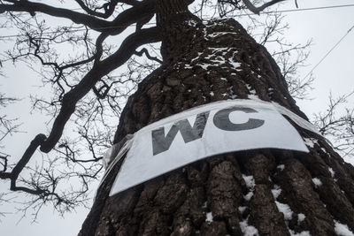 Low angle view of sign on tree trunk against sky