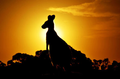 Silhouette horse standing against orange sky