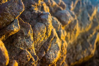 Sunrise at the desert always brings some great opportunities for textures and playing with the light