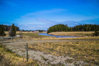 Scenic view of landscape against blue sky