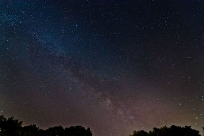 Low angle view of silhouette trees against star field at night