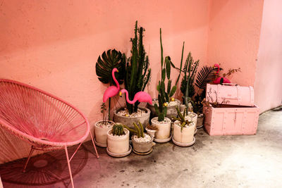 Potted plants on table against wall