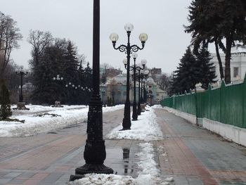 Street amidst trees in city during winter