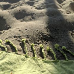 High angle view of footprints on sand at beach