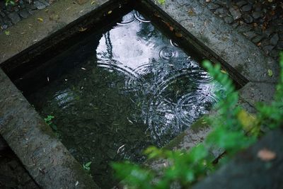 High angle view of raindrops on puddle