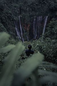 Rear view of man on waterfall in forest