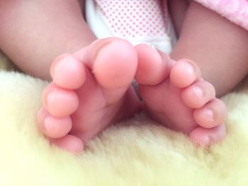 Low section of human feet