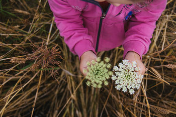 Directly above view of girl rotating cow parsley on field