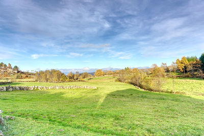 Scenic view of a green field against sky