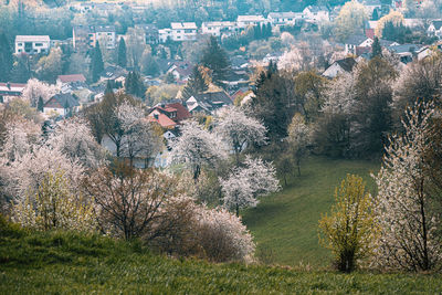 High angle view of townscape against sky