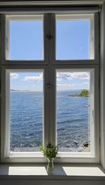 window