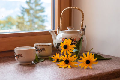 Close-up of potted plant on table