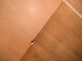 Man working in farm