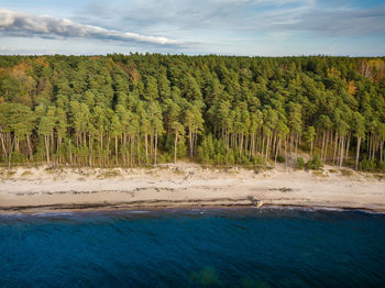 Scenic view of trees against sky