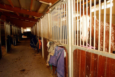 Row of clothes hanging in building