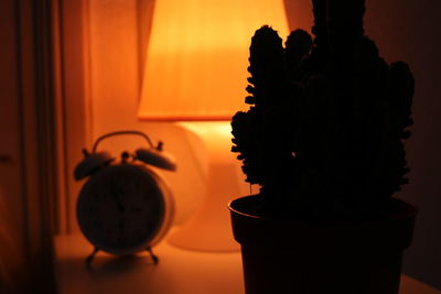 Close-up of silhouette potted plant on table by illuminated electric lamp at home